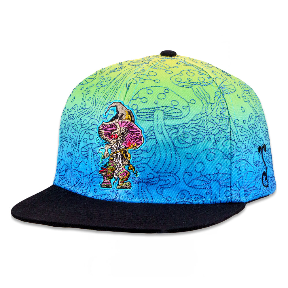 Blue teal purple grassroots limited edition l/xl snap back discount hat