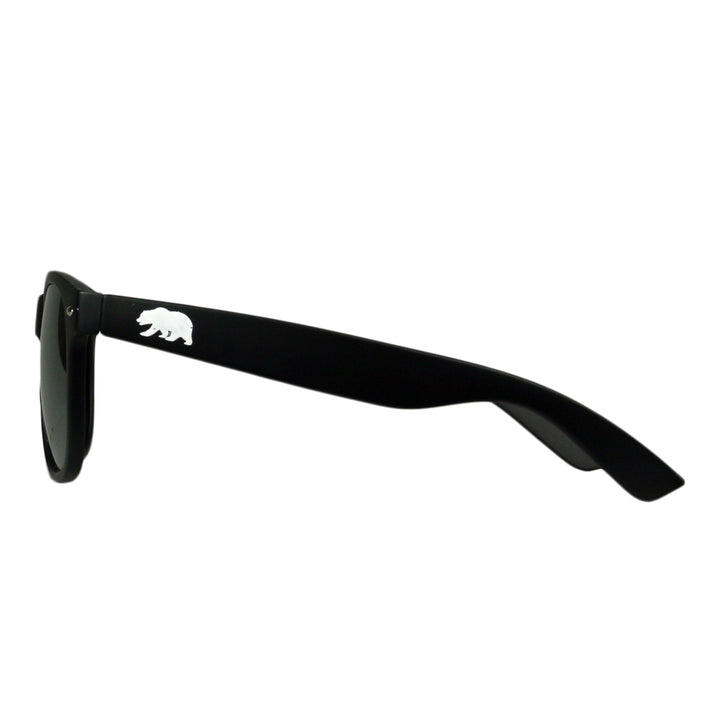 Matte Black Sunglasses