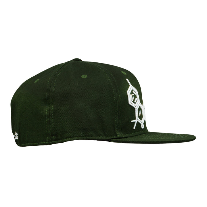 Gorra ajustada THC Bee Forest