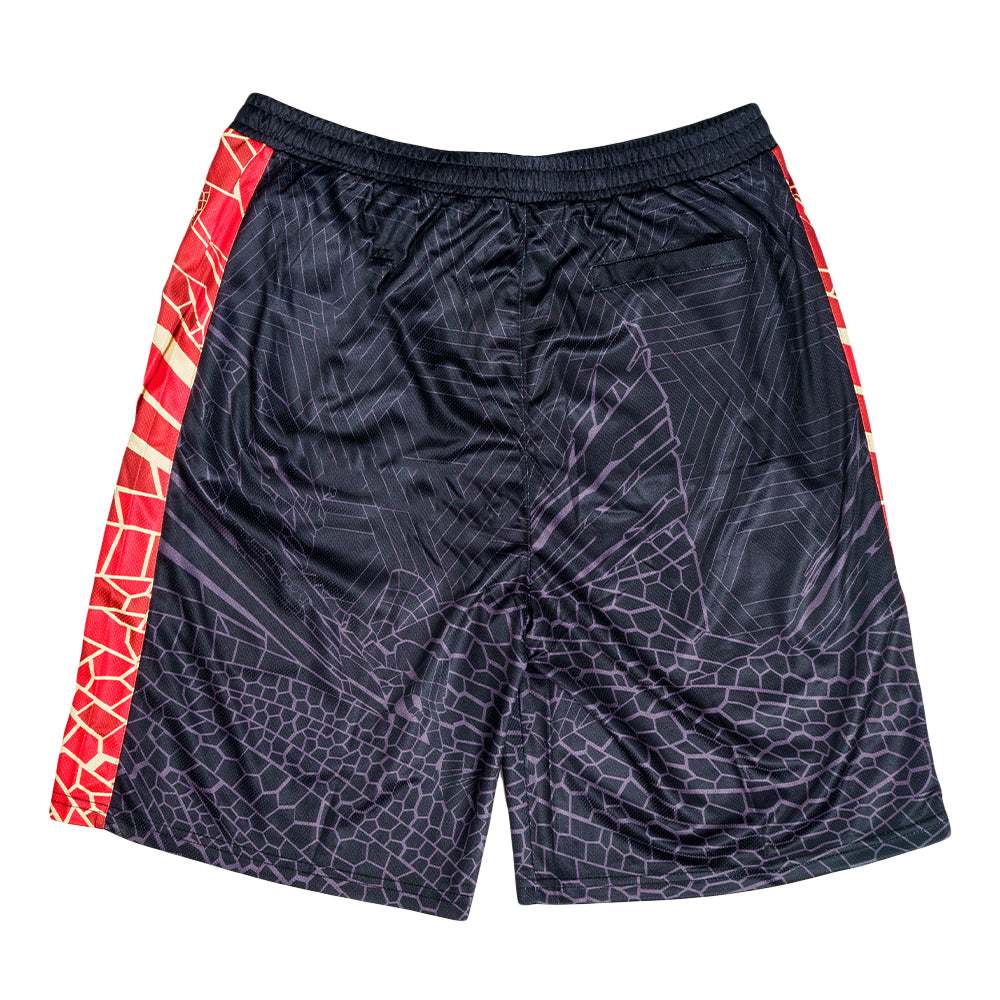 Red Rocks V4 Black Mesh Shorts