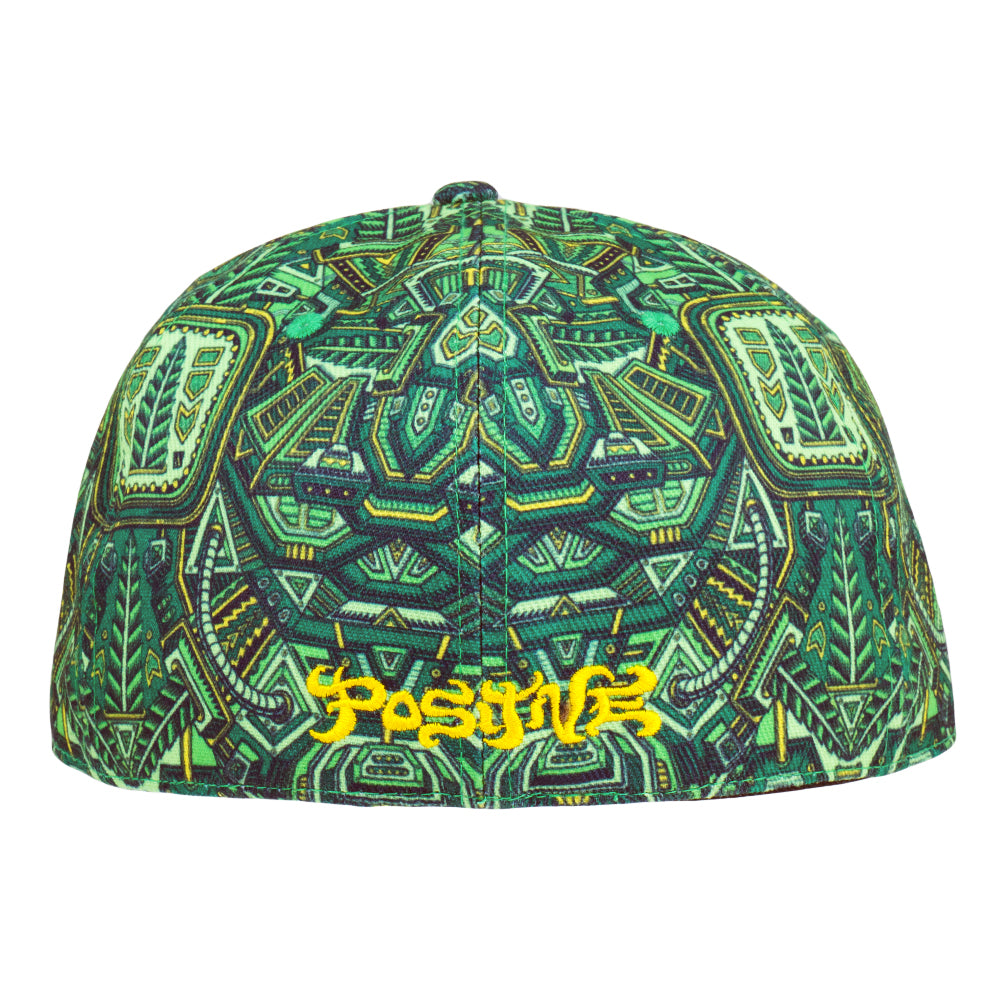 Gorro ajustado Nugatron de Chris Dyer