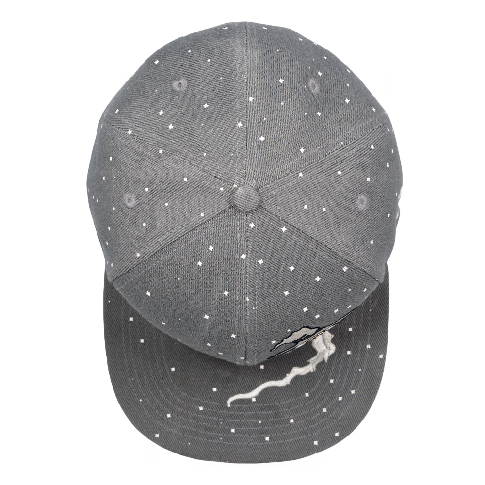 Toking Wizard Gray Fitted Hat