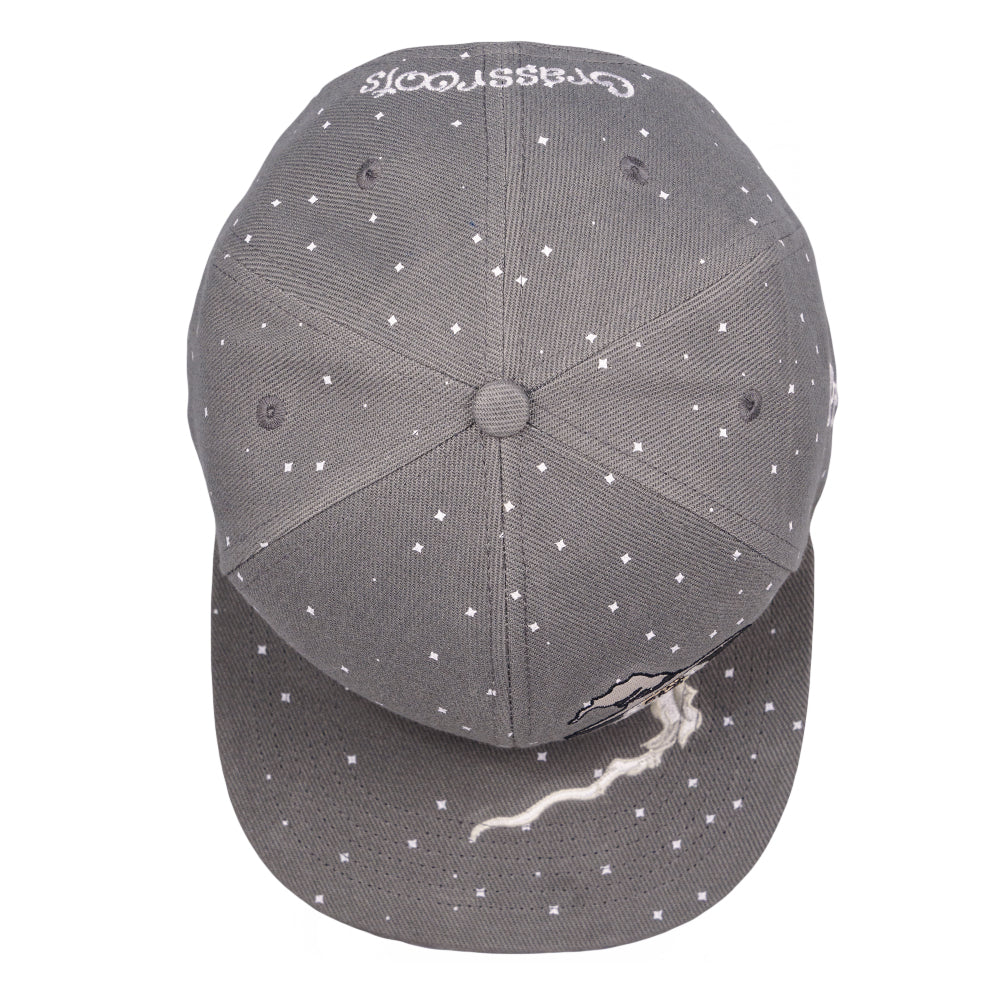 Toking Wizard Gray Snapback Hat – Grassroots California