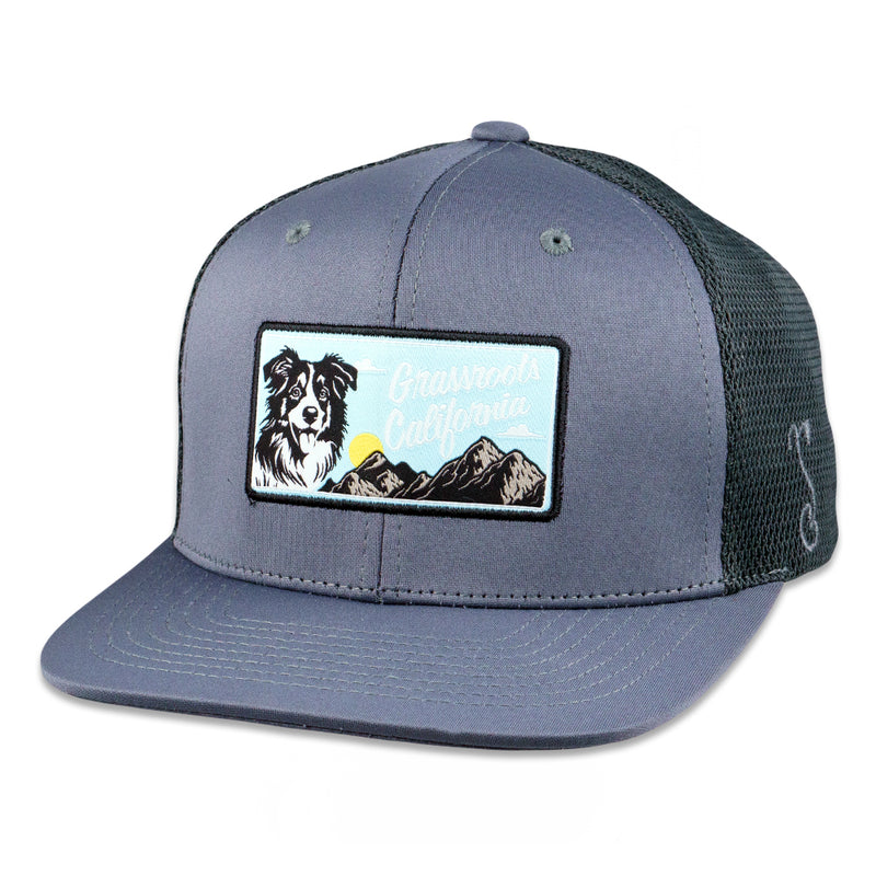 Gorra con visera ajustable de malla gris PuppyRoots Dri-Bear