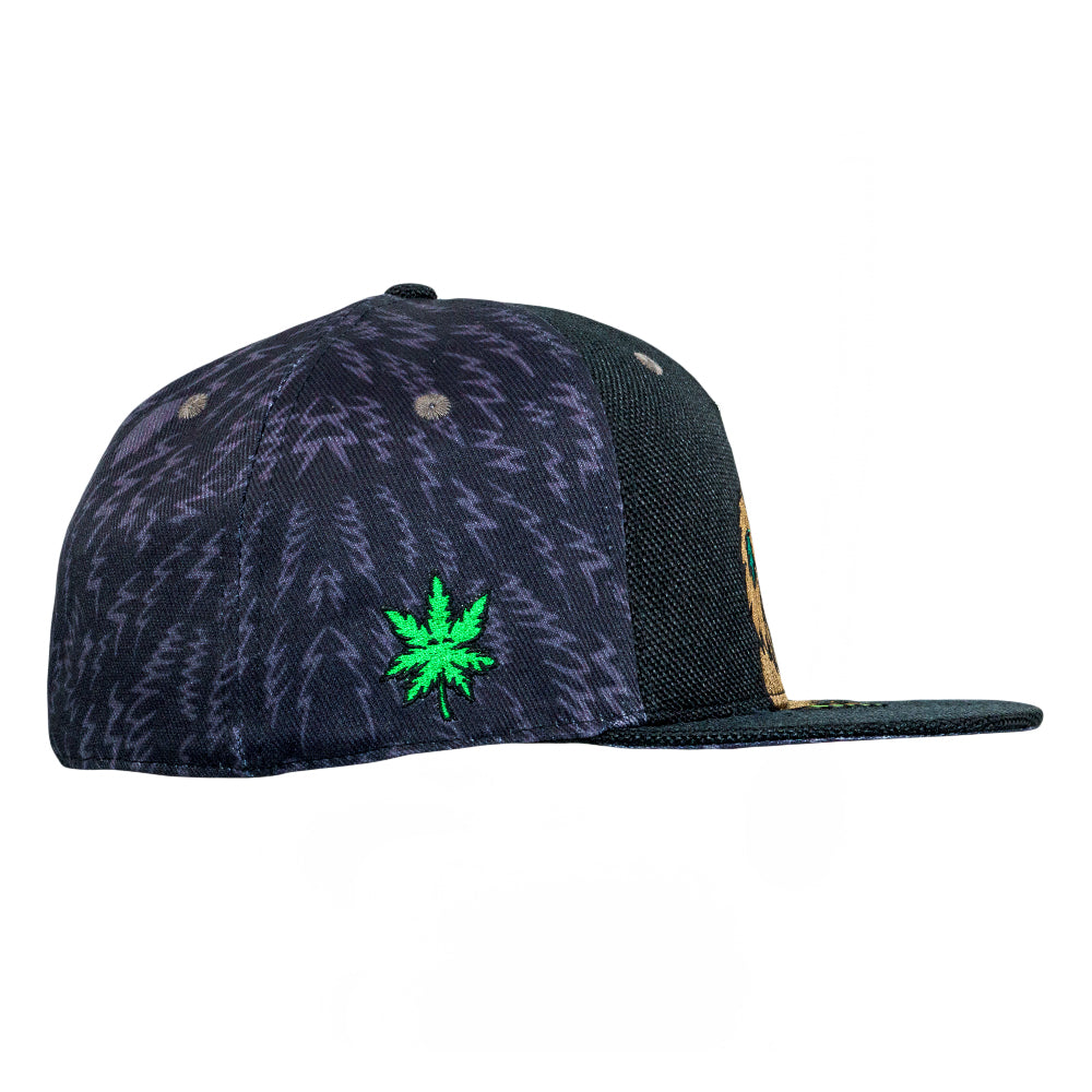 Bigfoot Healer Black Fitted Hat