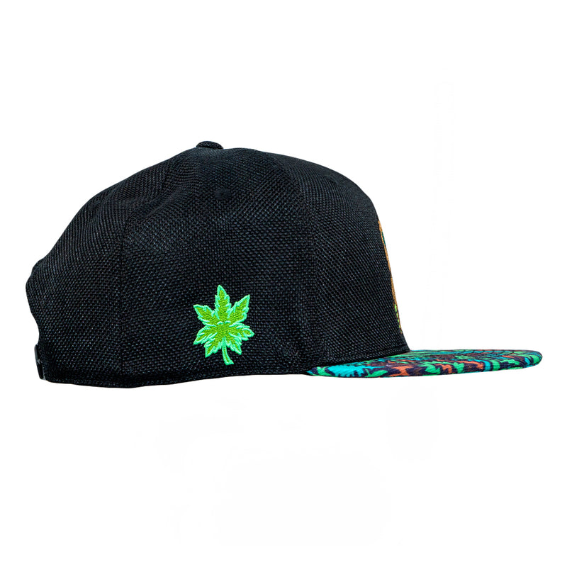 Bigfoot Healer Black Snapback Hat