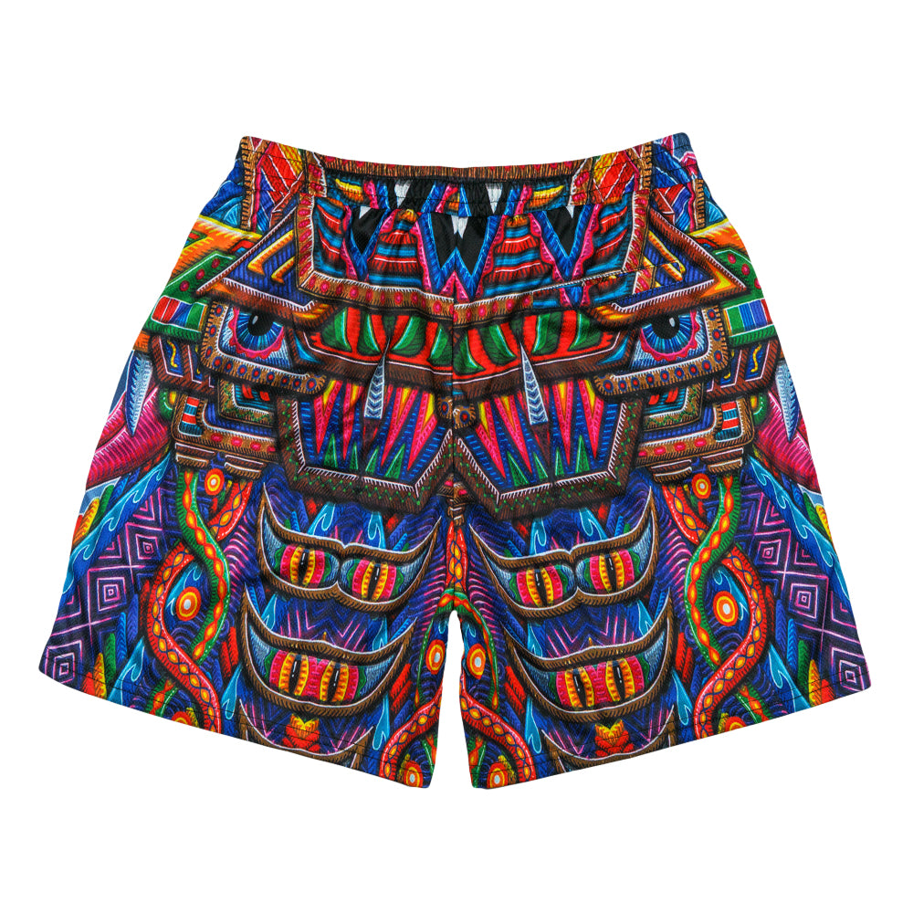 Chris Dyer Freesponsable Rainbow Mesh Shorts