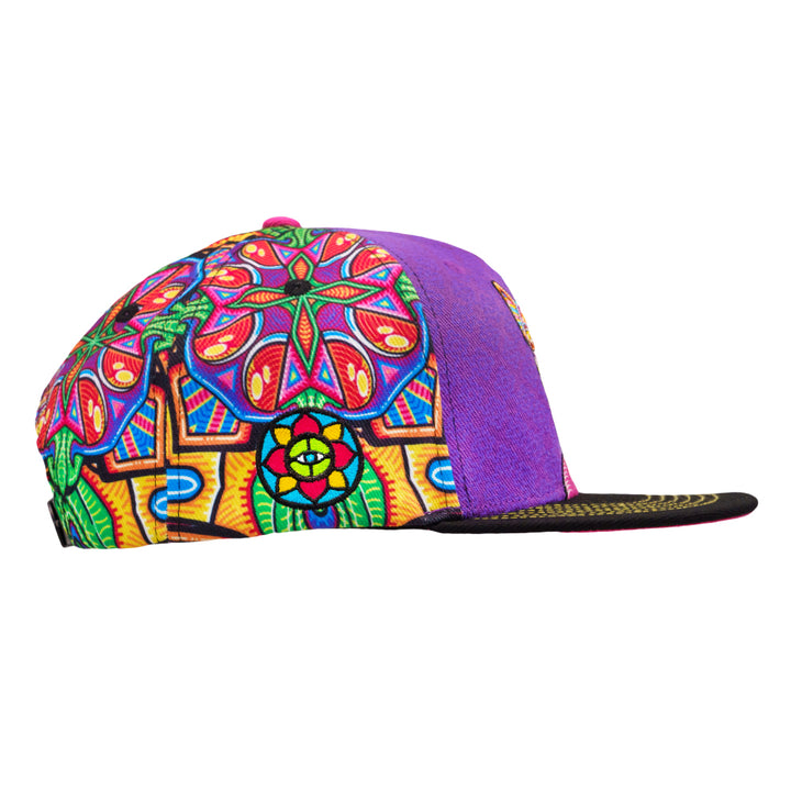 Chris Dyer Dog Purple Snapback Hat