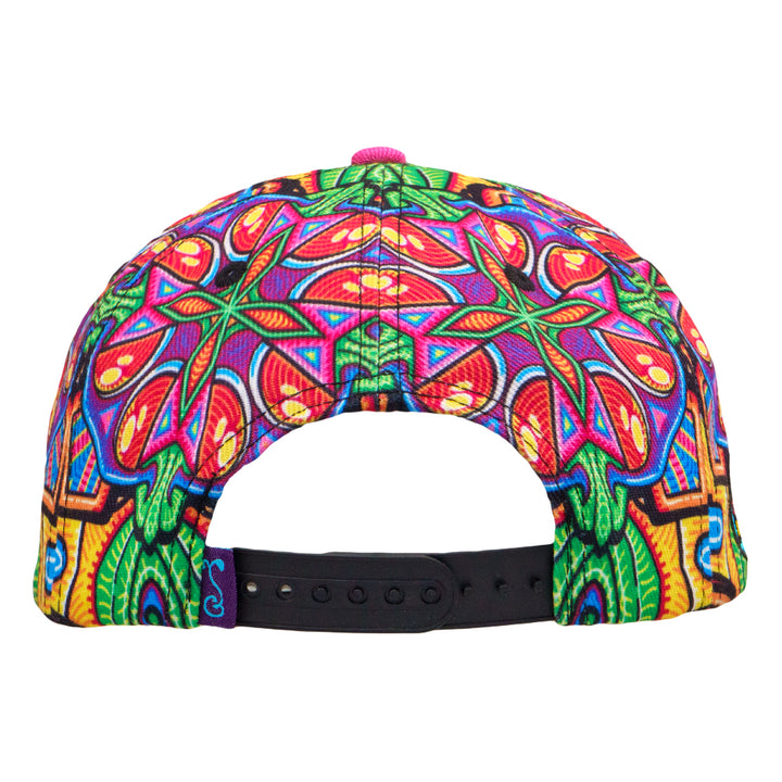 Chris Dyer Dog Purple Snapback Hat