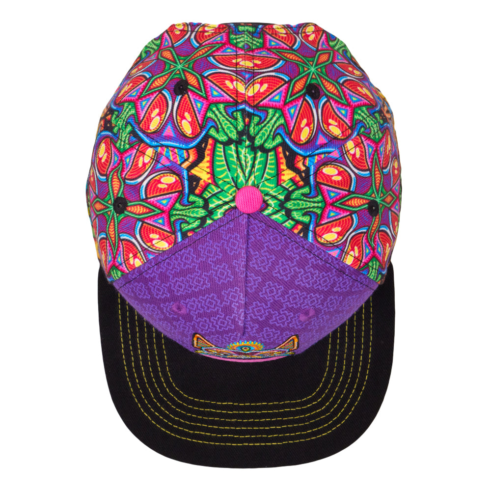 Chris Dyer Dog Purple Snapback Hat