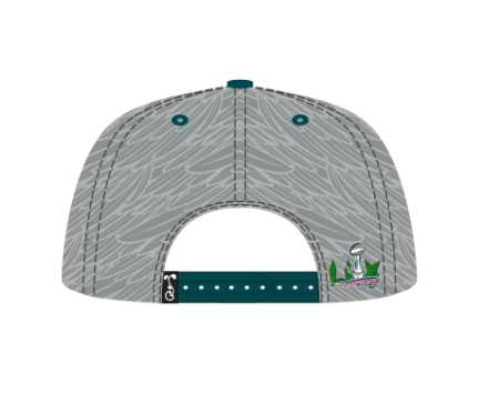 Philadelphia Feathers Snapback Hat