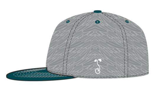 Philadelphia Feathers Snapback Hat