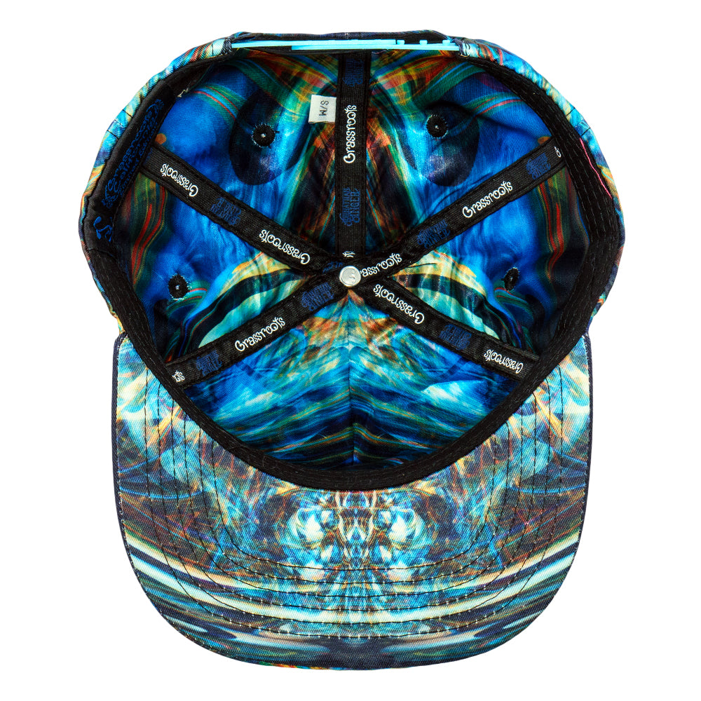 Johnathan Singer Mere Reflection Snapback Hat