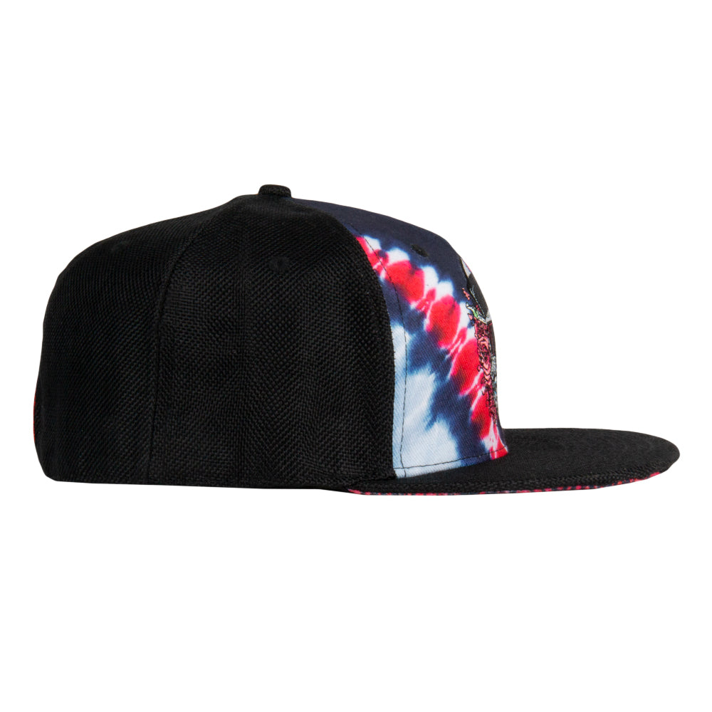 Aaron Brooks Eazy Bertha V Dye Fitted Hat