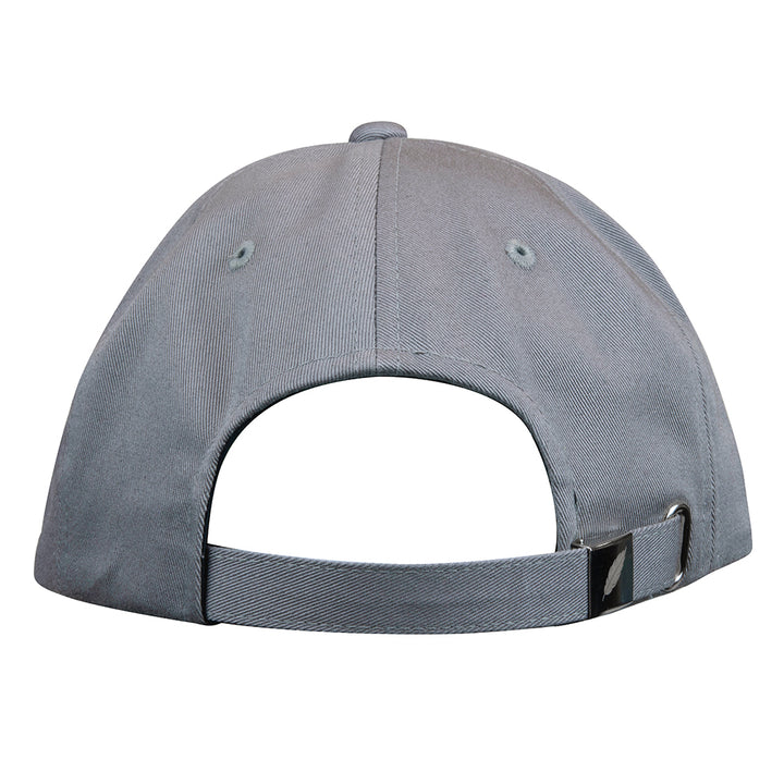 Blue Gold Macaw Gray Dad Hat