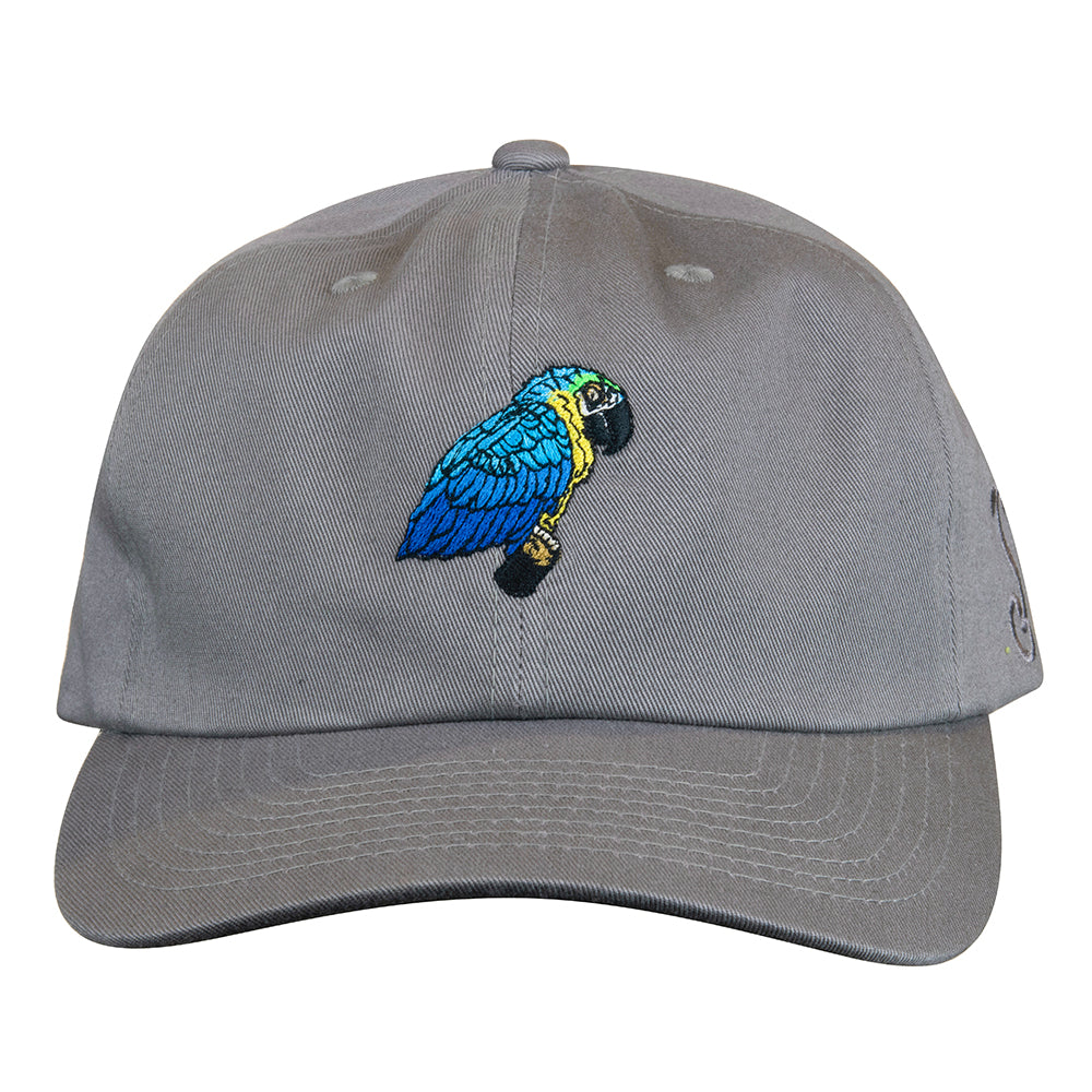 Blue Gold Macaw Gray Dad Hat