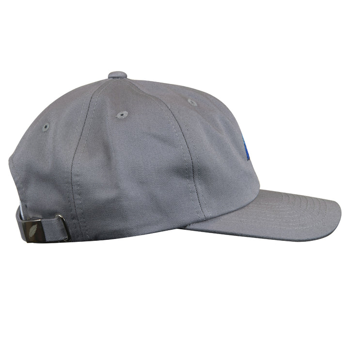 Blue Gold Macaw Gray Dad Hat