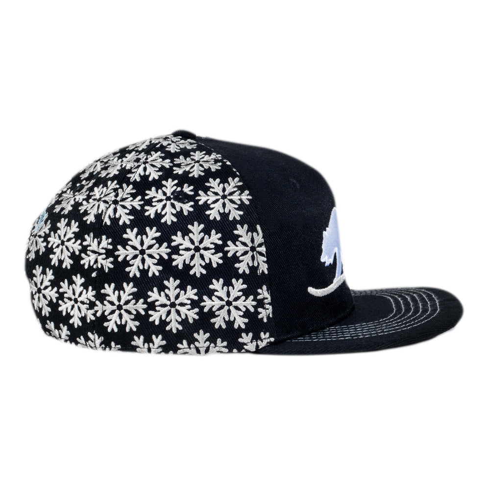 Gorra con visera ajustable Snowboard Bear Blizzard